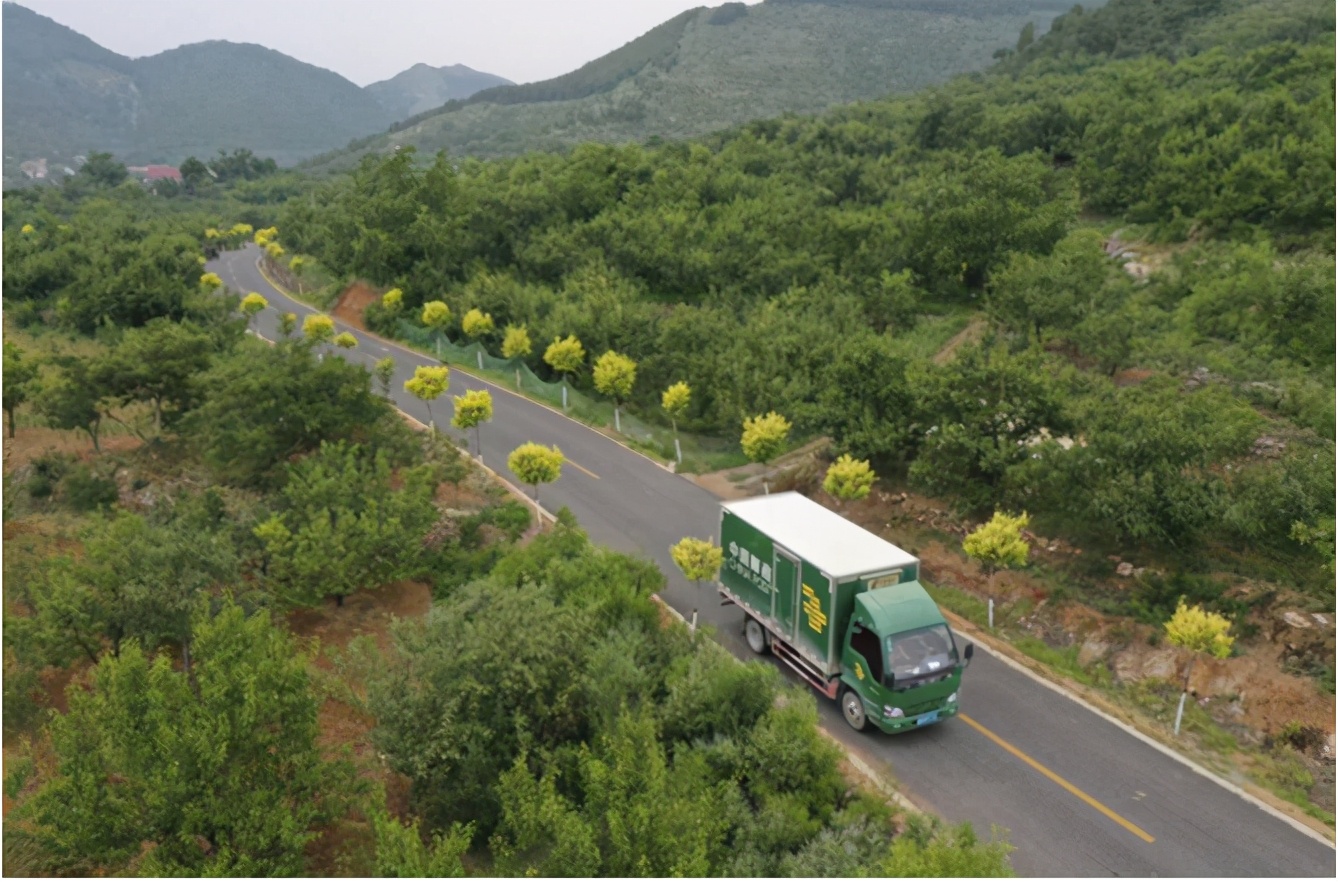 一边是大葱价格飞涨，一边是万斤柑橘烂地里，其中原因令人唏嘘