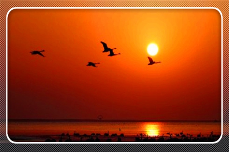 当前形势下，对于创业失败者而言，是否还有翻身的机会？