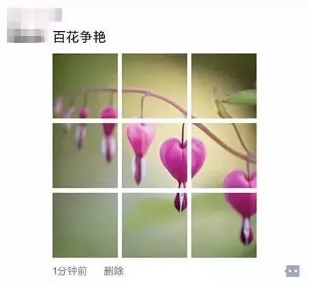 拍了照片要会晒，今天教大家如何在朋友圈晒出不一样的照片