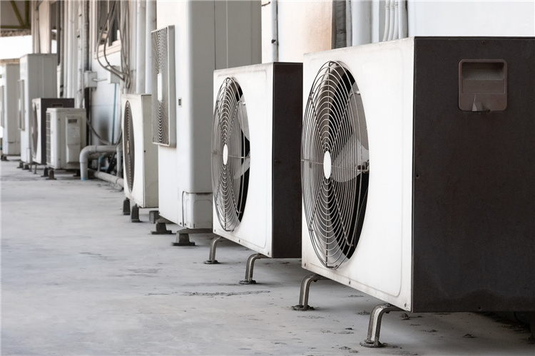 50岁的人，不外出打工，在农村能做哪些月收入一万以上的小生意