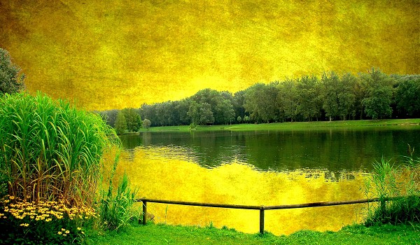 淘宝卖家自动刷流量软件哪个好？这有你想知道的