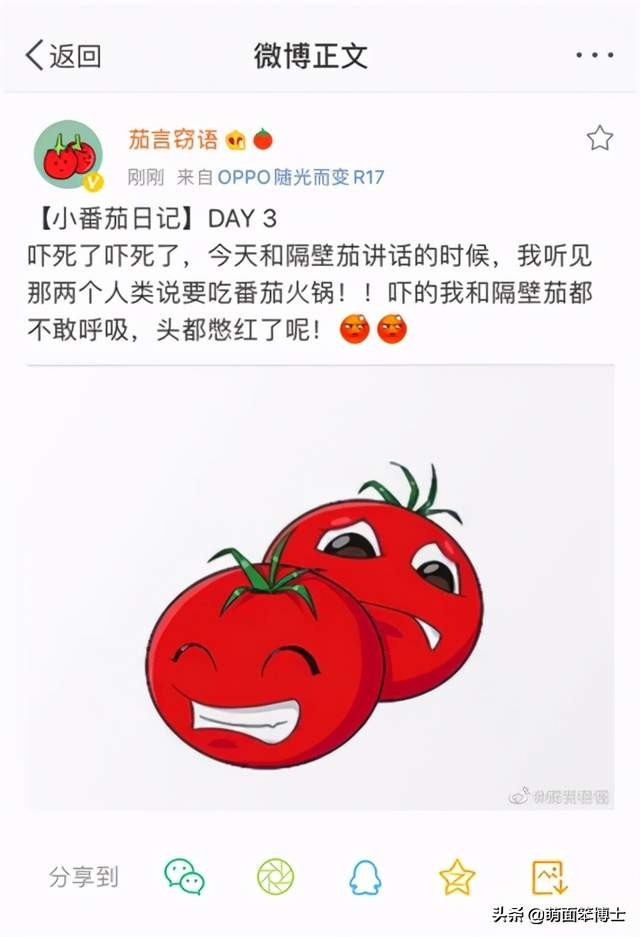 丁真火了？探秘微博营销的千层套路