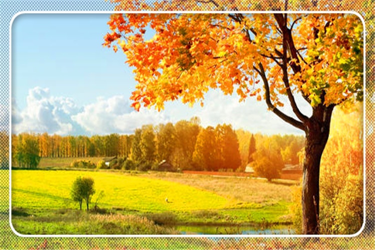 当前形势下，对于创业失败者而言，是否还有翻身的机会？