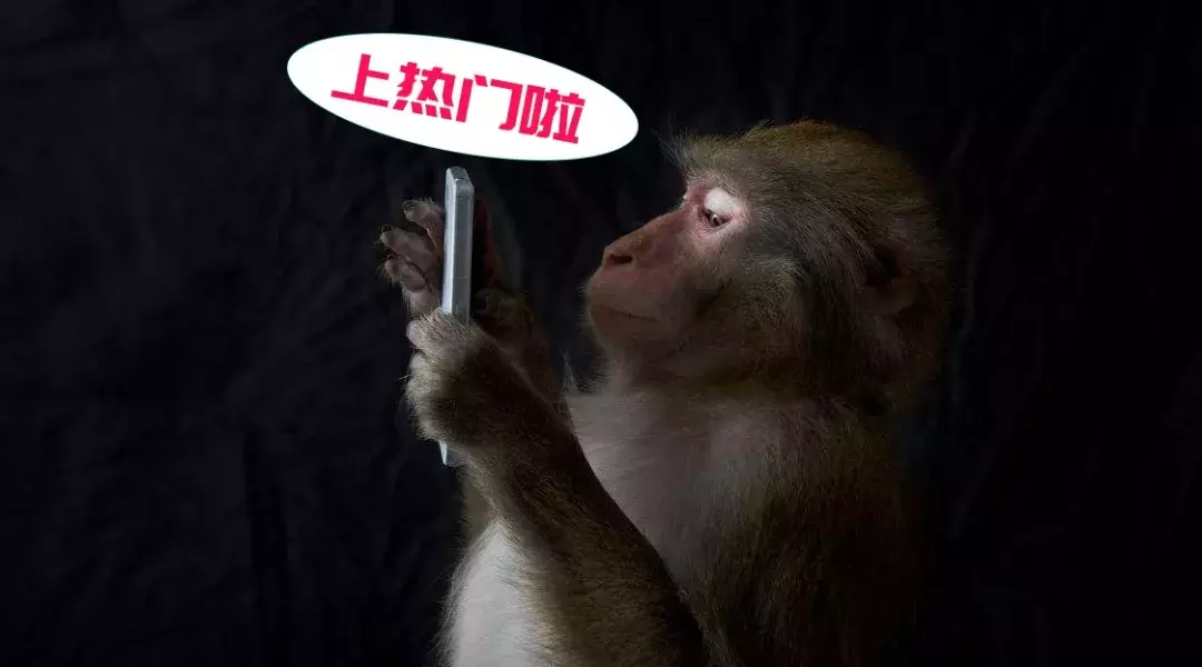 抖音上热门难？掌握这 10 个小技巧，天天 10 万+