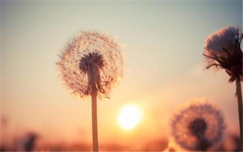 53岁的人负债近百万，心如死灰看不到希望，后面的路该如何走？