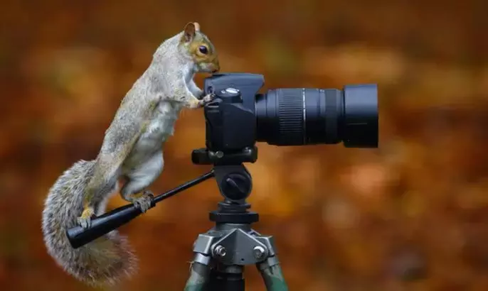 抖音上热门难？掌握这 10 个小技巧，天天 10 万+