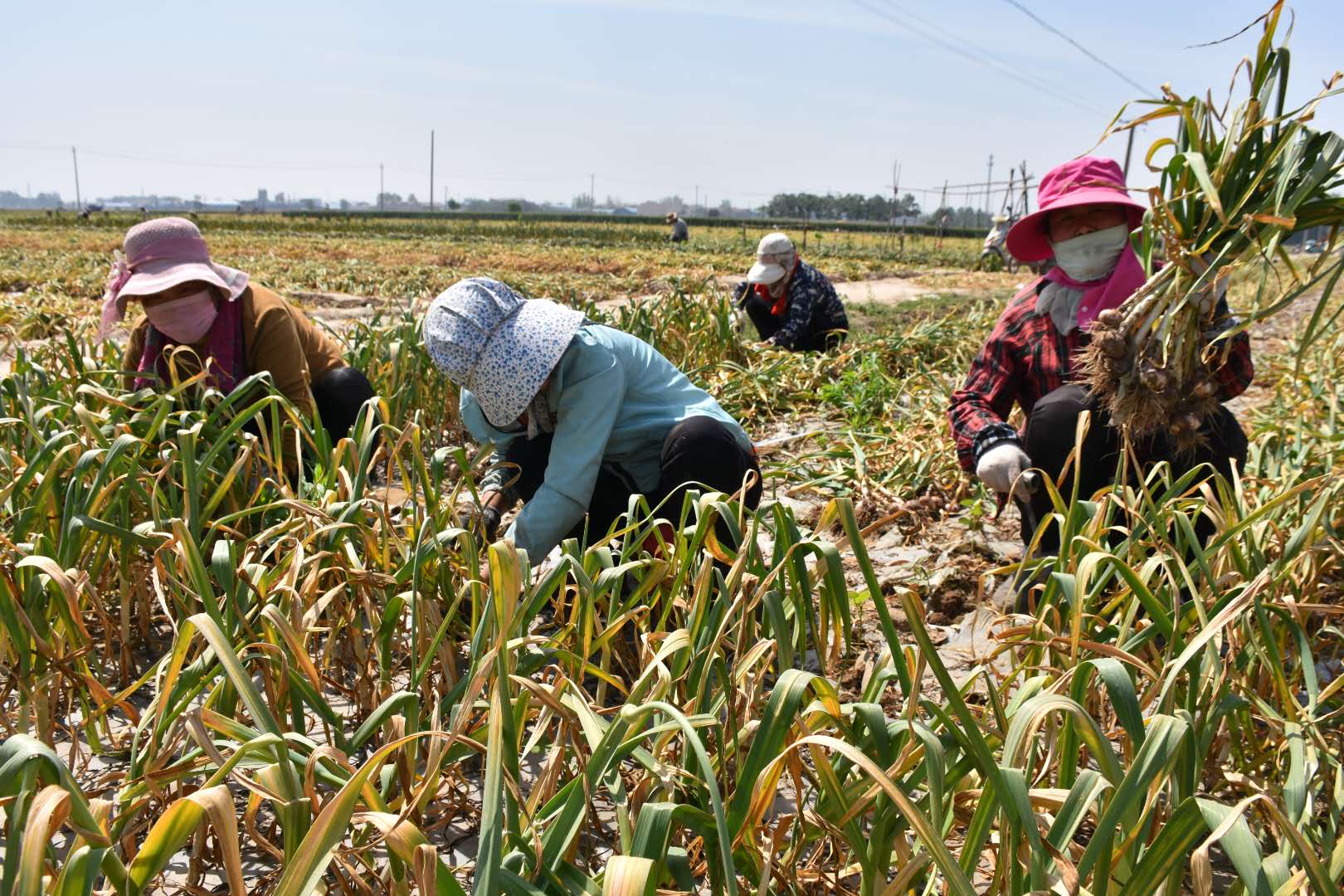 透过淘宝特价版，我看到了1亿小镇青年对美好生活的向往