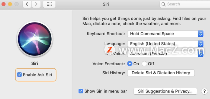 如何在Mac上关闭Siri?