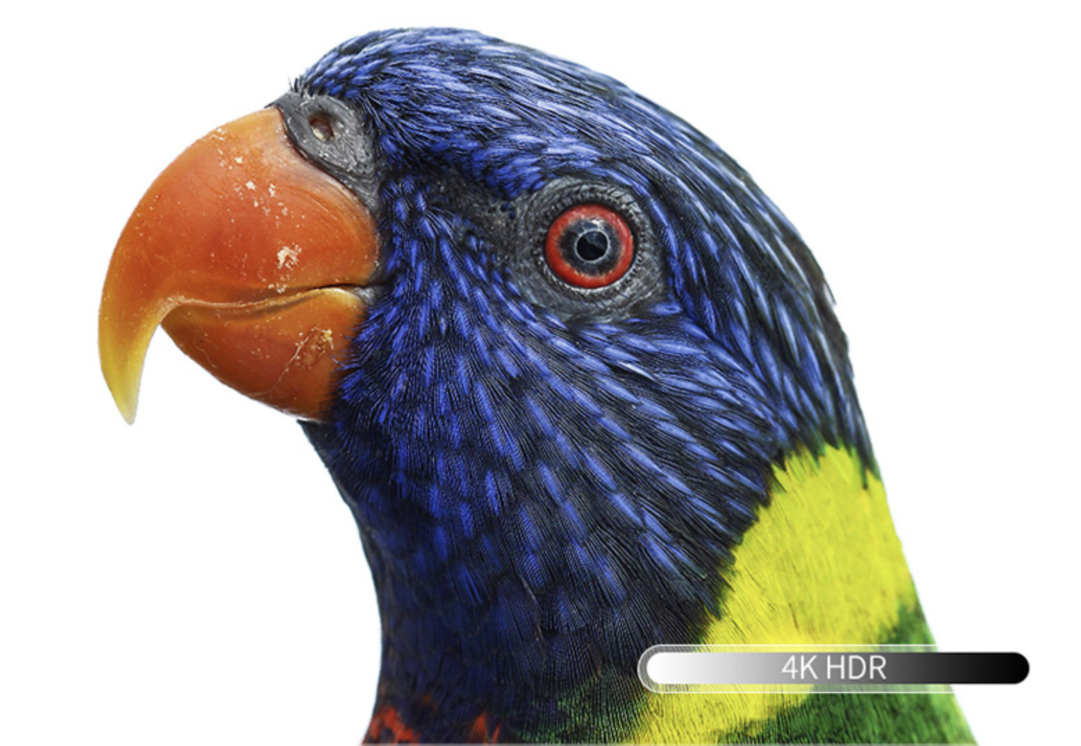 创维65H6全面屏智能网络液晶平板电视 65英寸售价只要5298元