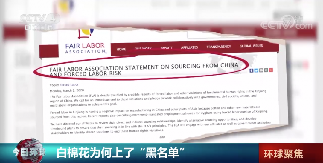 央视揭新疆白棉花为何上了黑名单！棉商怒斥BCI：求职者多了一倍