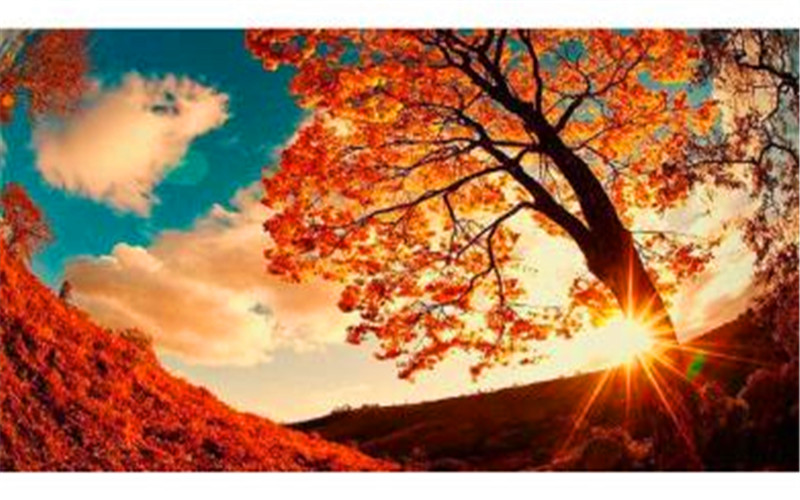 50多岁的人负债累累，怎么才能咸鱼翻身呢？分析一下