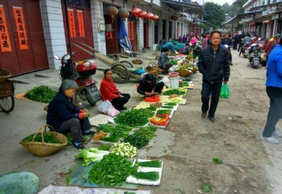 社区团购，是拥抱还是抵制？