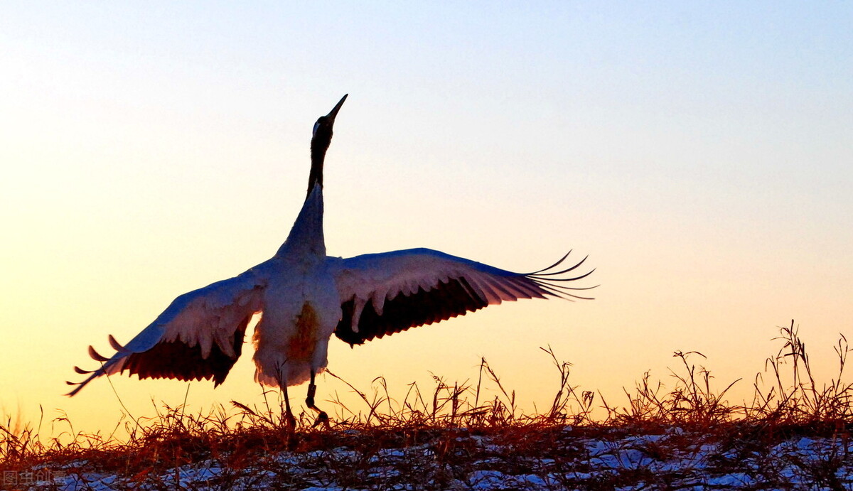 我，8年幼师，被家长送过红包，也差点被家长“讹”了4万