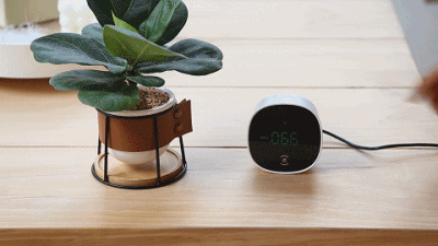 指哪去哪真正的全屋净化，科沃斯沁宝Andy空气净化机器人体验