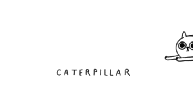 宠粮测评丨麦富迪双拼粮，掀起网红产品的红盖头