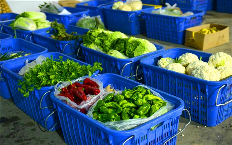 5万元的投入，现在做哪些生意，能一年有20万以上的收入？