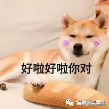 宠粮测评丨麦富迪双拼粮，掀起网红产品的红盖头