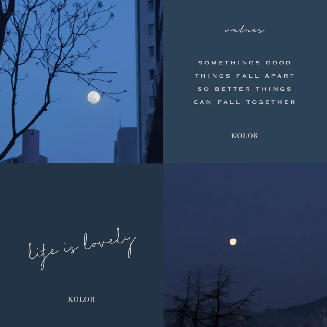 照片排版不高级？看看这4款宝藏排版App吧