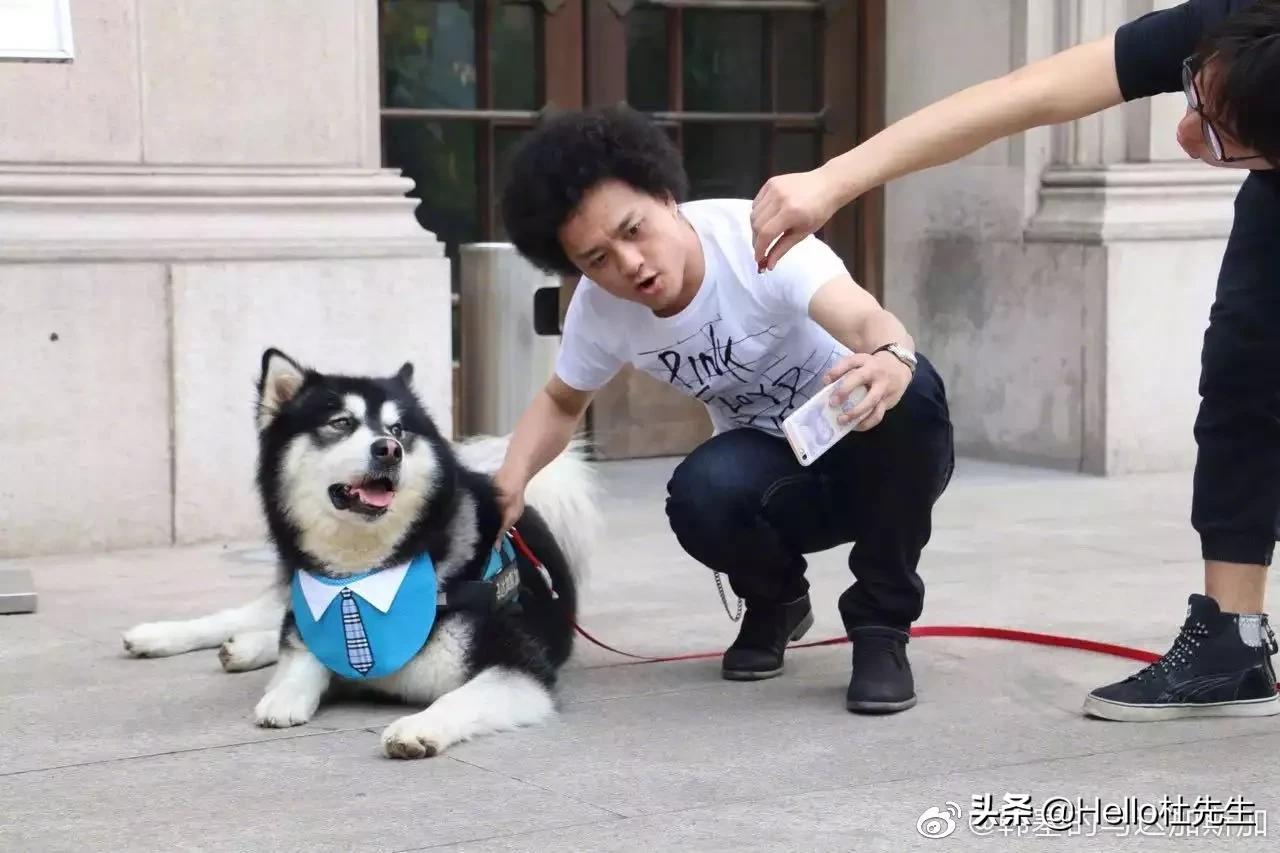 赵英俊留给这世界最后的话，“请你记得我，永别了这个世界！”