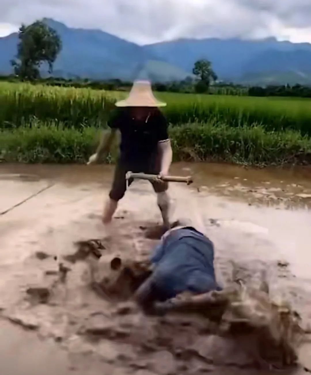 全网刷爆的山东“曹县”，到底什么梗啊