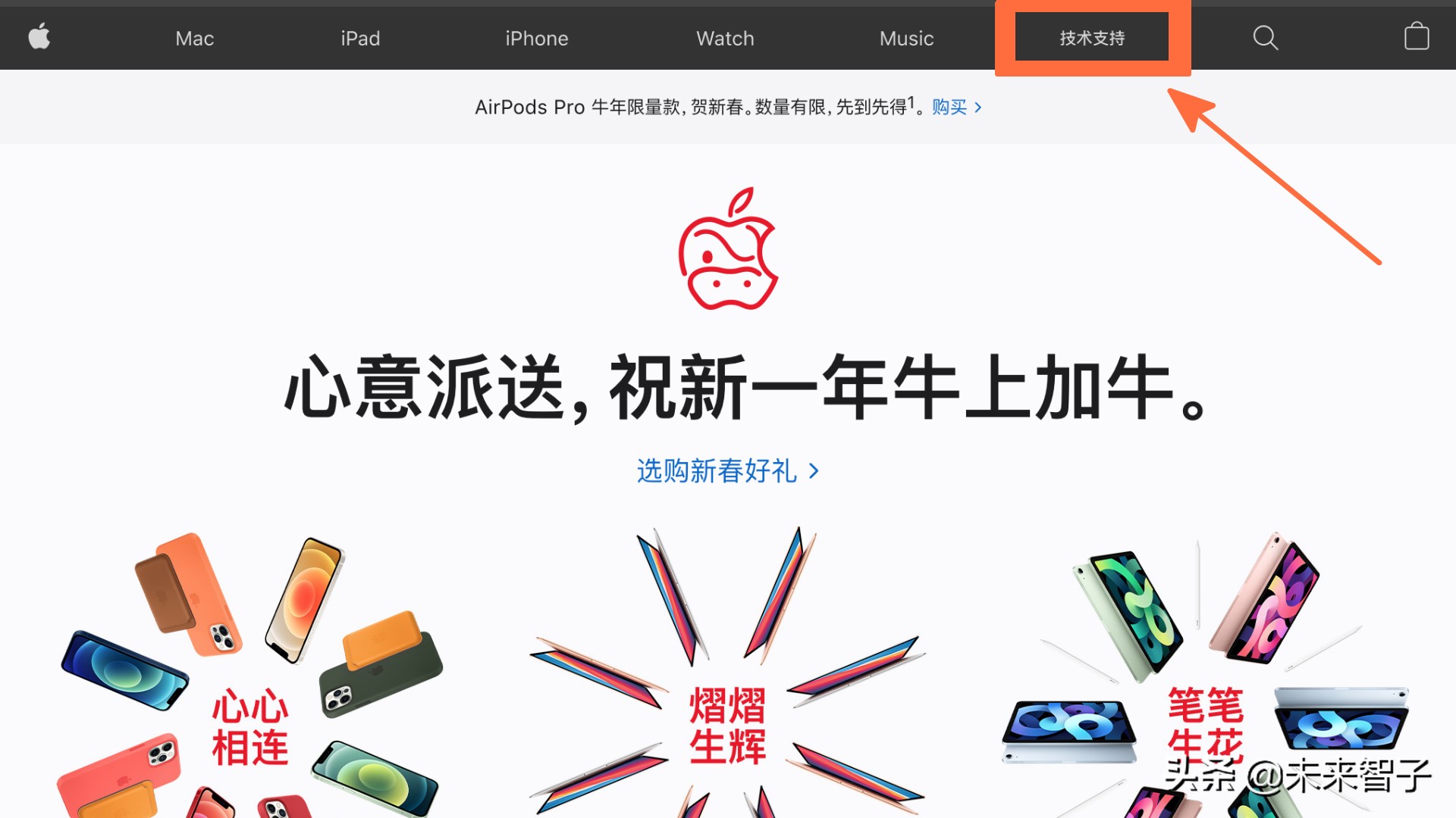 如何解决：我忘记了Apple ID账户密码怎么办？