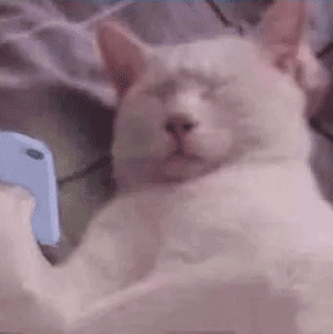 全网刷爆的山东“曹县”，到底什么梗啊