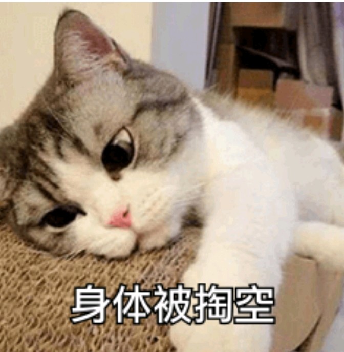 电脑快捷键大全(每天从搬砖开始)