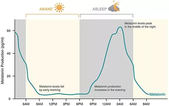 起床不再困难！蓝光LED灯可有助人们消除“晨困”