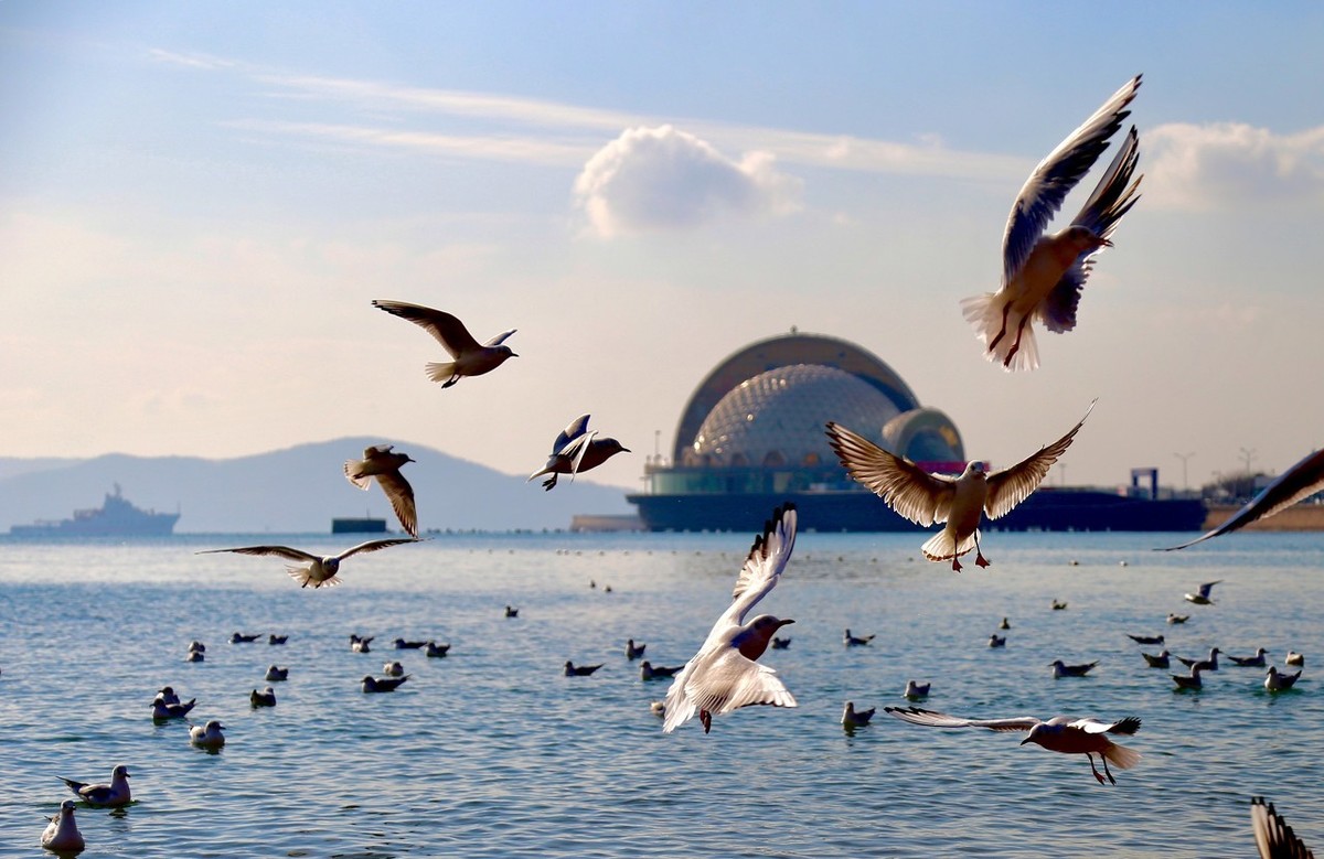 有多少人，开通黄钻只是为了一个功能