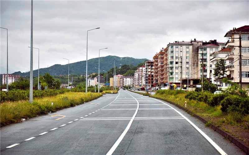 50岁的人在城市找不到出路，想回乡下搞养殖，养什么比较有前景？