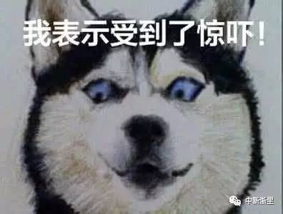 手机被“轰炸”收到百余验证码？教你如何机智应对！