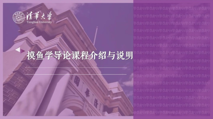 你介意同事上班摸鱼吗？