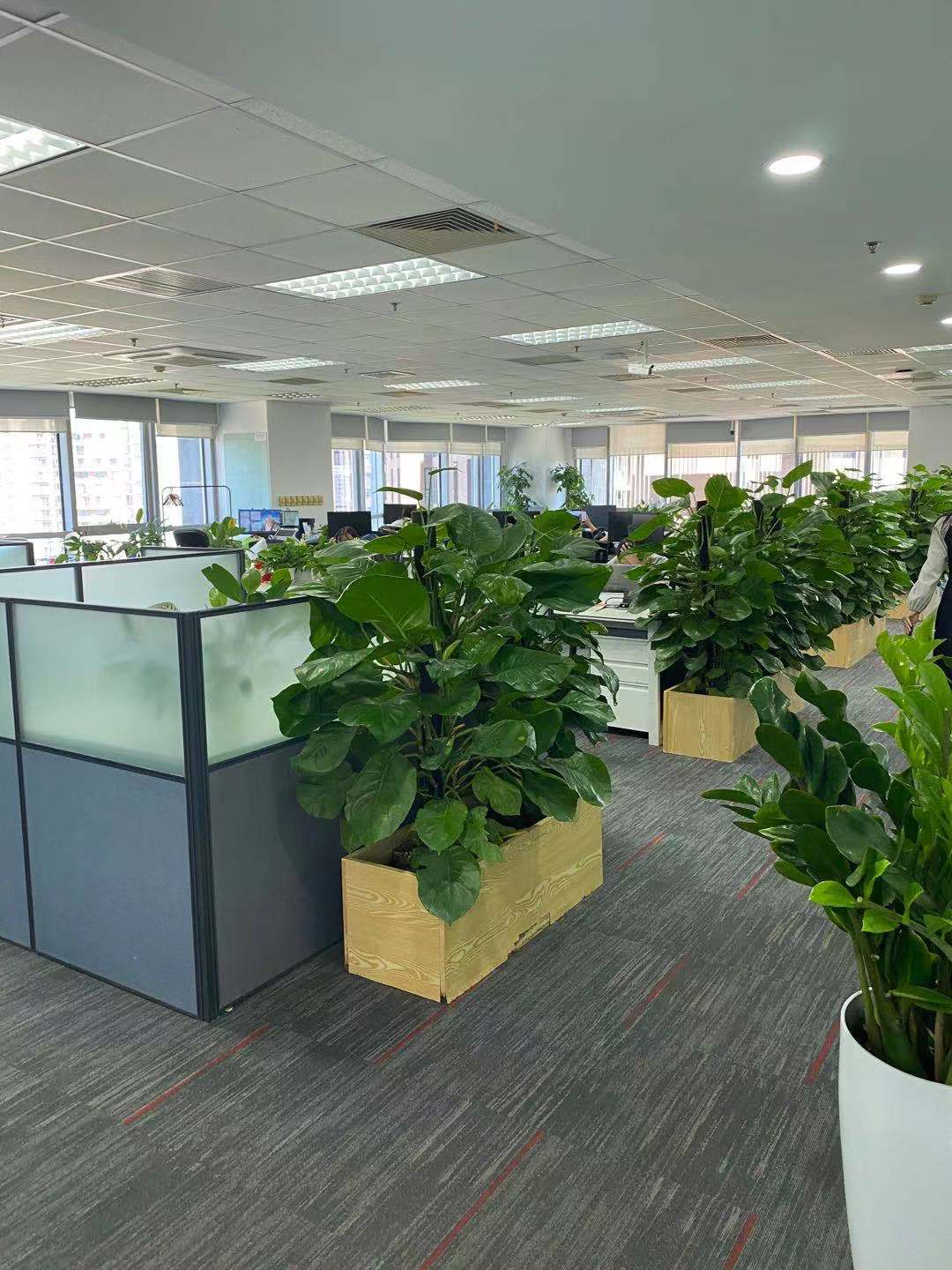 陆正耀开店计划曝光：“趣小面”14城出击，反瑞幸咖啡扩张打法