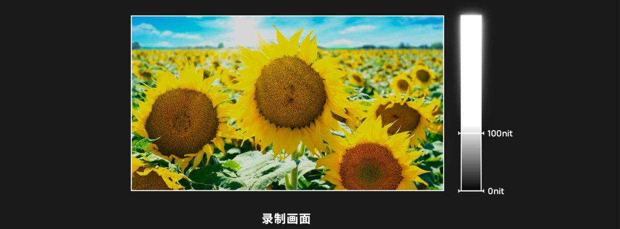 四款 OLED 电视评测