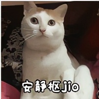 配件总花冤枉钱？关于机械键盘你一定要了解的信息都在这里