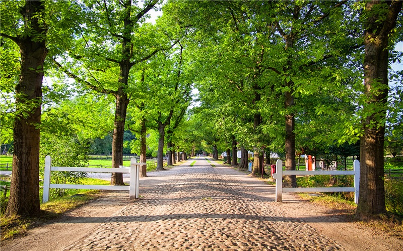 40多岁的人不想打工，有十几万元的积蓄，回农村做什么生意好？