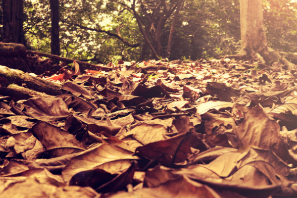 影响创业的因素有哪些？这些你必须要知道