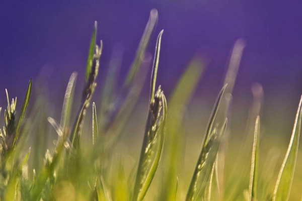 什么样的人不适合创业？不适合创业的原因