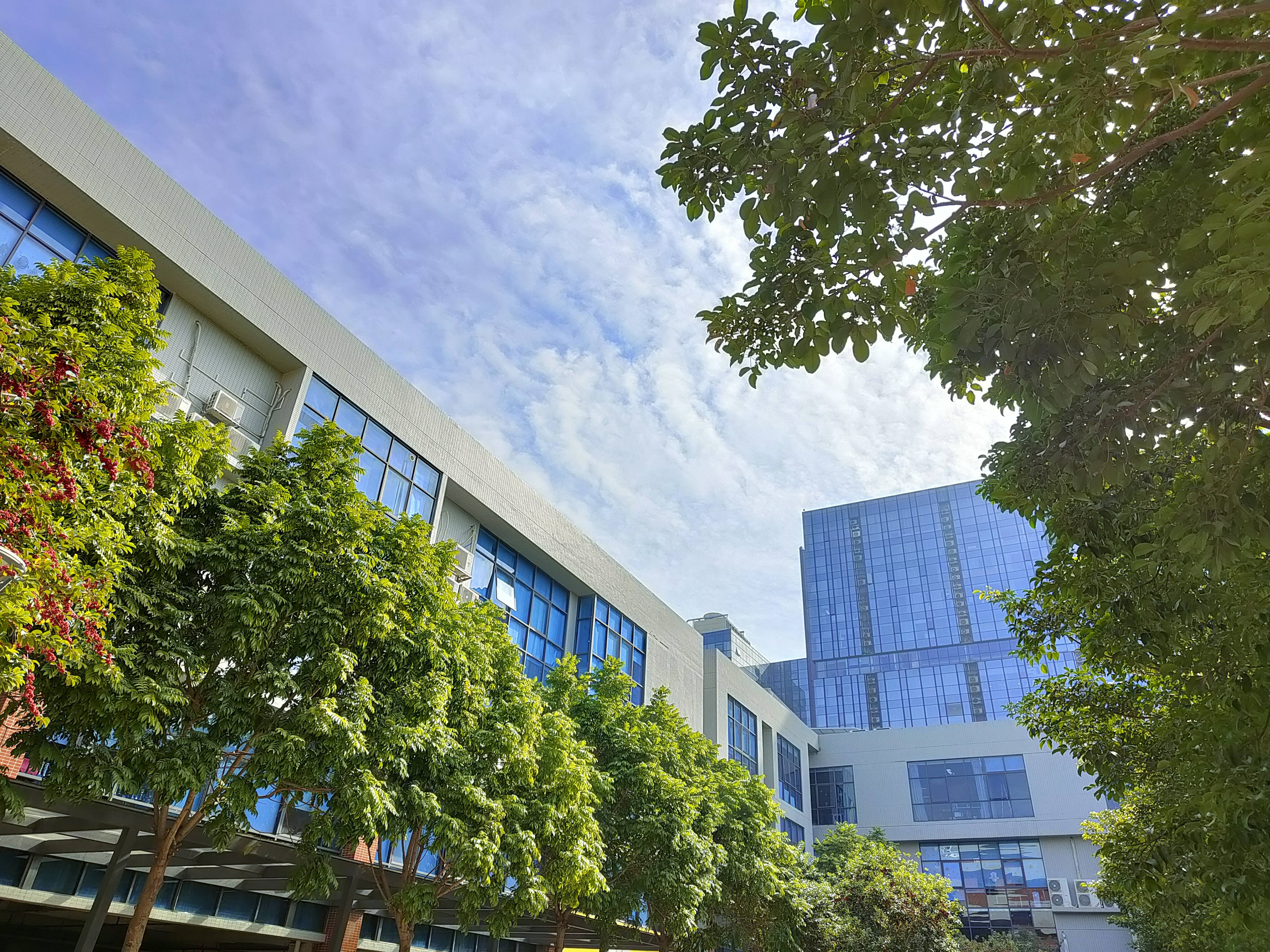 OPPO Reno6 Pro诠释了什么叫“吸取长处，补齐短板”