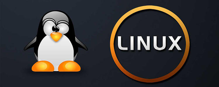 2021最全Linux基本命令汇总（最全面！最详细！）这一篇就够了