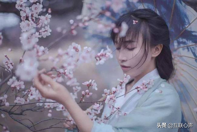 字节跳动投资李子柒，中视频再掀起波澜，“内容创业”几人知晓？
