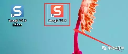 Snagit 2019安装包免费下载附安装教程