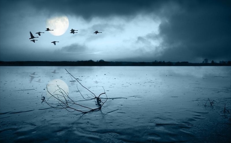 海上求生如何辩认方向？（接近陆地的迹象）