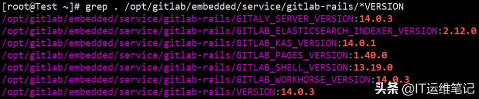 Linux下GitLab版本的查询方法