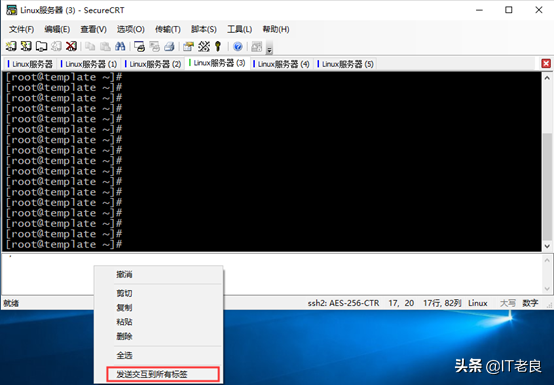IT人员必备工具SecureCRT介绍及一些实用小技巧