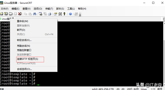 IT人员必备工具SecureCRT介绍及一些实用小技巧