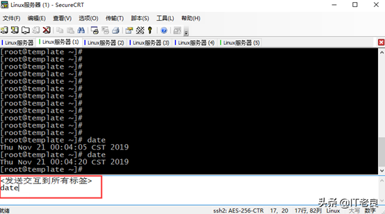 IT人员必备工具SecureCRT介绍及一些实用小技巧