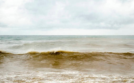 海上求生如何辩认方向？（接近陆地的迹象）