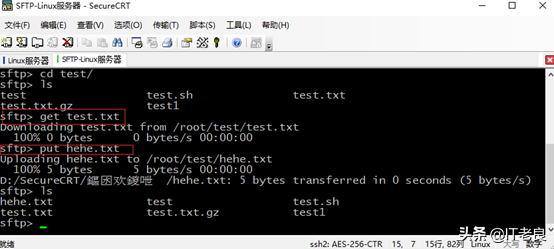 IT人员必备工具SecureCRT介绍及一些实用小技巧