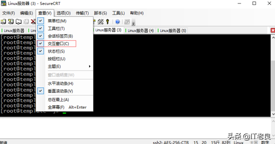 IT人员必备工具SecureCRT介绍及一些实用小技巧
